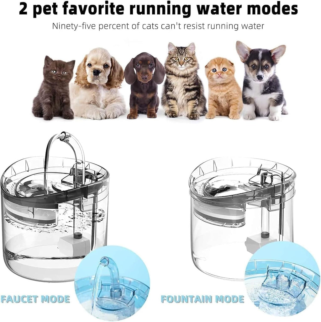 Cat Water Fountain